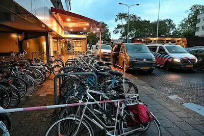 Gefrustreerde advocaat legt rechtszaak bij hof lam om dreigende tbs, slachtoffer in tranen