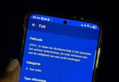 Man laat hond uit op vluchtstrook van de A2 bij Maarheeze, politie haalt hem van de weg