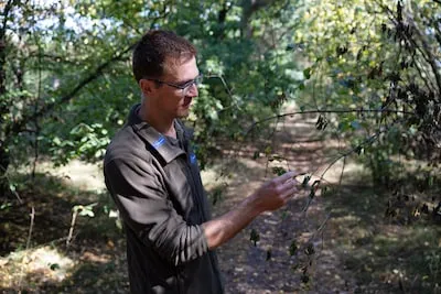 Boswachter Koen waarschuwt na vroege herfst: 'Impact op natuur is enorm'