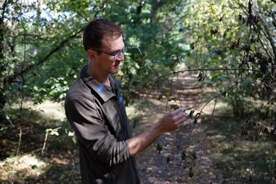Het lijkt al herfst en dat is geen goed nieuws: zorgen over ‘enorme impact’ van droogte voor de natuur