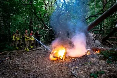 Agenten zien rookwolken langs weg in Tilburg en vinden brandende scooter in het bos