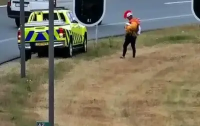 Wat doet deze ‘vreemde vogel’ langs de A2 bij Eindhoven?
