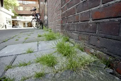 Hoezo Brainport? Loop eens een rondje door de wijk