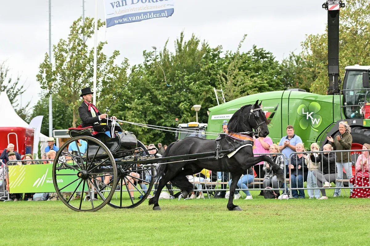 Titanenstrijd in subliem kampioenschap Friese tuigpaarden