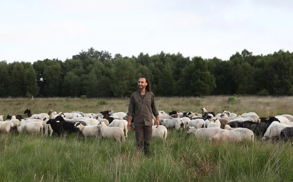 Shariff (33) uit Joure zegde zijn kantoorbaan op en werd schaapherder: ‘Mensen hebben er een heel romantisch beeld bij’