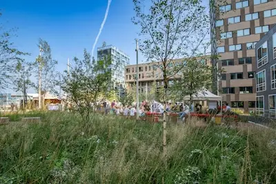 Flight Forum wil 15-jaarsregel schrappen voor studenten- en expatwoningen, gemeente houdt voet bij stuk