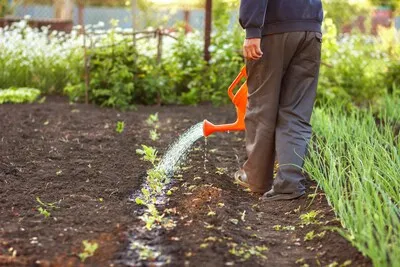 Bijzondere planten door het jaar heen: lezing door Gerrie Veenstra in Mierlo
