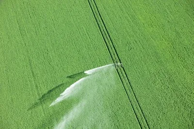 Droogte in Brabant treft boeren en tuinders: verbod op gebruik van slootwater vanaf dinsdag