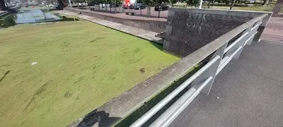 Het kanaal in Helmond stinkt, maar het gaat over....