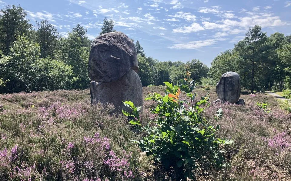 Fietsen langs het Pieterpad. Van Zeegse naar Coevorden