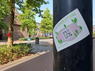 Tilburg geeft - niet echt - het goede voorbeeld met bomenkap