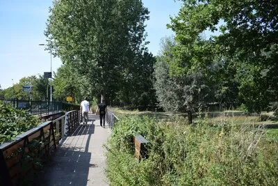Eindje Om in eigen stad: maak een buurtwandeling in Eindhoven