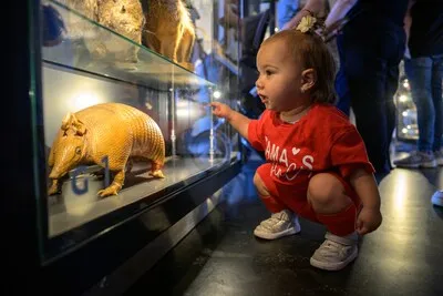Van verse paddenstoelen naar virtuele mammoets: het Natuurmuseum blaast 90 kaarsjes uit