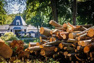 Bomenkap bij Villa Vredelust zorgt voor déjà vu bij Tilburgse natuurbeschermers: ‘Ik ben het spuugzat’
