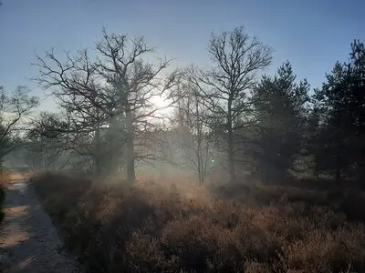 Heidewandeling op Cartierheide in Laarven