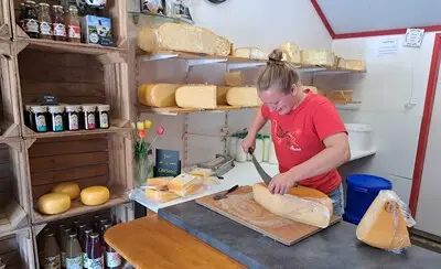 Vers van het land: bij deze boerderijen in de regio Tilburg koop je lokale lekkernijen