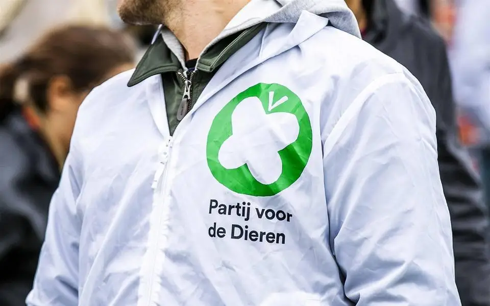 Partij voor de Dieren wil terug in gemeenteraad Leeuwarden