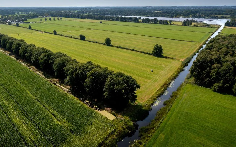 Zomaar een weiland in? Boer Bert (70) uit Ureterp vindt regelmatig blikjes. ‘Zoek altijd even contact’