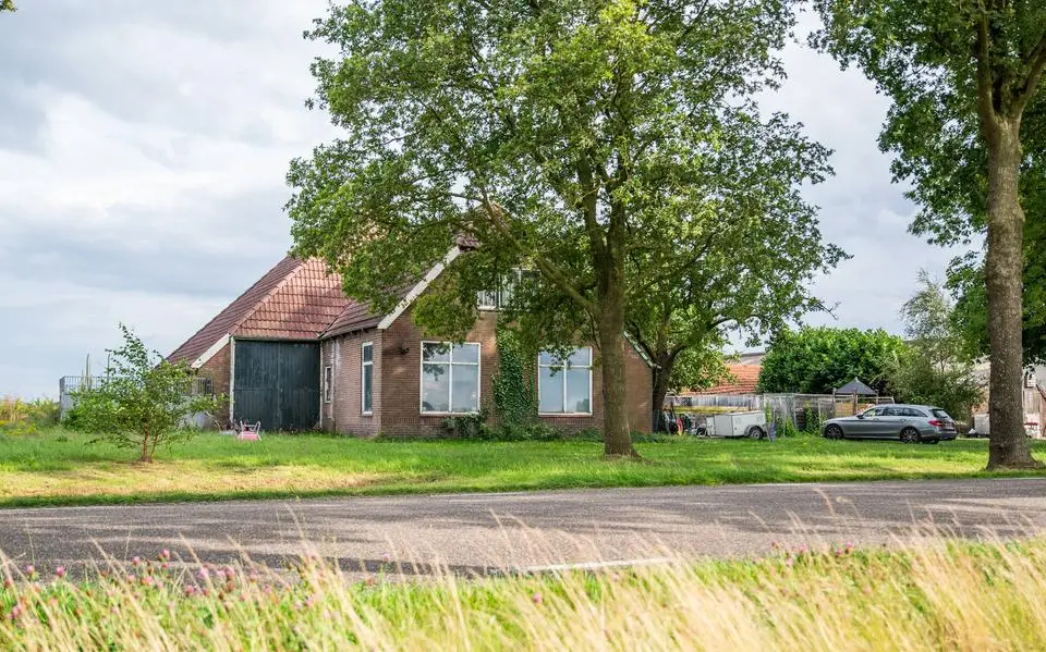 Fokster Tamara kon geen nee zeggen en kwam zo aan 72 honden in boerderij Oosterwolde. ‘Maar ja, je moet ze wel allemaal voeren’
