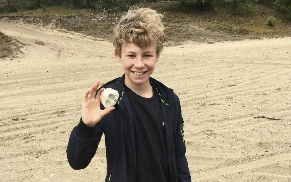 Tim (12) vindt op Holtingerzand vuistbijl van 50.000 jaar oud. ‘Ik wist dat de kans klein was, maar ik had hoop’