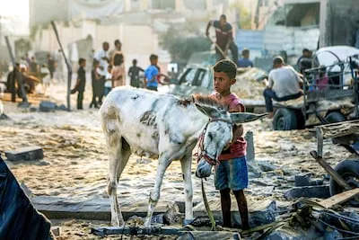 ‘Wat doet de wereld, wat doet Nederland? Helemaal niks’