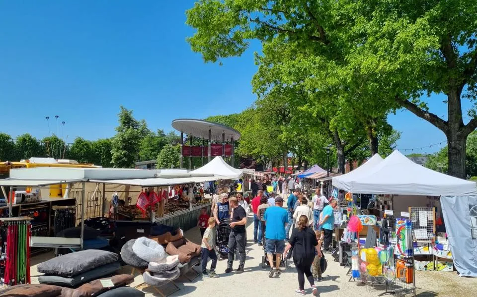 Kunstmarkt, tuinbezoek en braderieplezier: dit en meer is er dit weekend te doen in Friesland