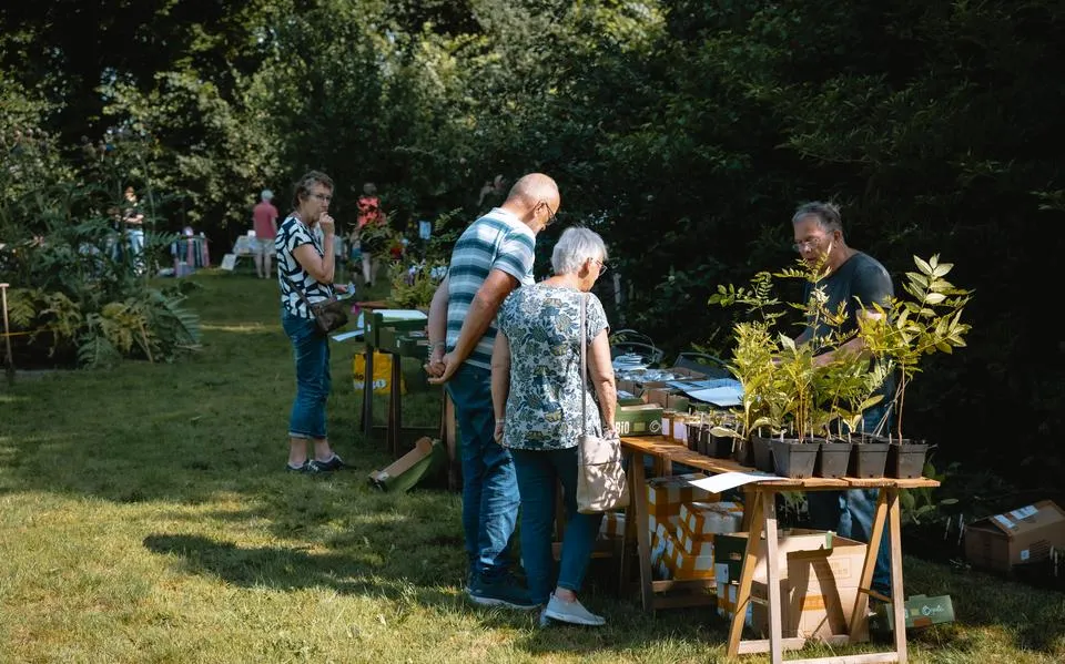 Van zomermarkt tot zeismaaien. Dit en meer uitjes dit weekend in Friesland