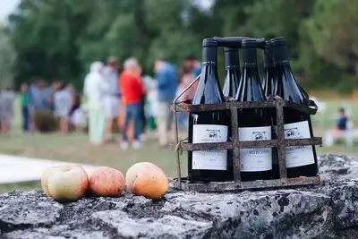 Wijn drinken met je voeten in het zand: nieuw wijnfestival op stadsstrand in Helmond