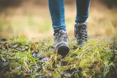 Bomenwandeling in Geldrop
