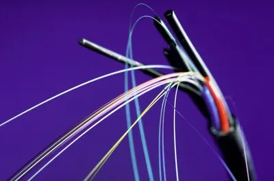 Glasvezel voor Cranendonckse ondernemers: werkzaamheden starten volgende maand