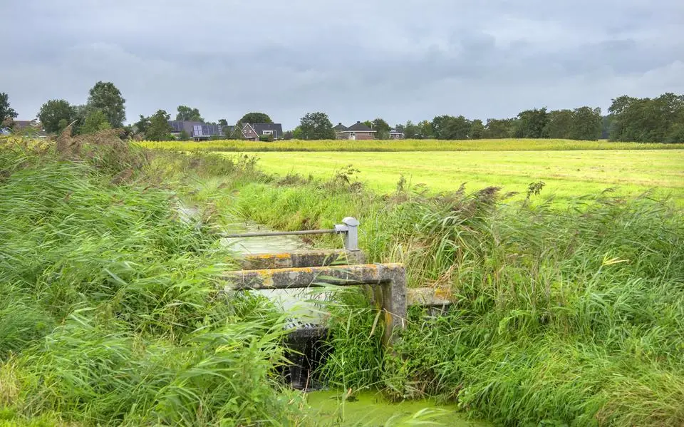 Bouw 40 huizen in Driezum mag doorgaan: Raad van State schuift bezwaren terzijde