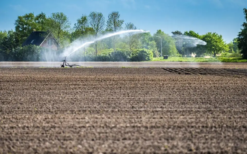 Grond op akkers in Friese klei minder zout dan gedacht, het venijn zit ‘m in de sloten
