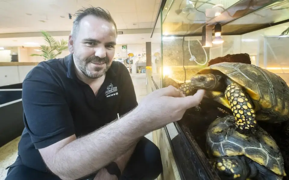 Schildpaddenopvang in Harkema ziet grote wens uitkomen: plan voor reservaat lijkt rond