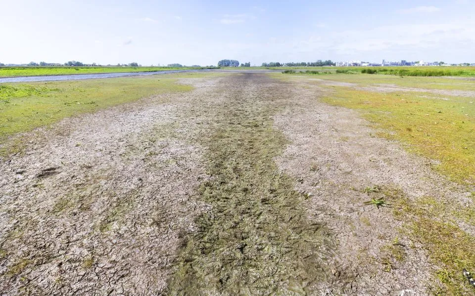De natuur ontglipt ons, vrijblijvende klimaatdoelen volstaan niet meer, zeggen An de Wrede en Rienk Oldersma | opinie