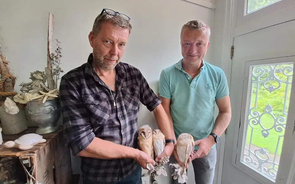 Arno (50) uit Surhuizum ringt al jaren kerkuilen: ‘Het is een bijzondere vogel’