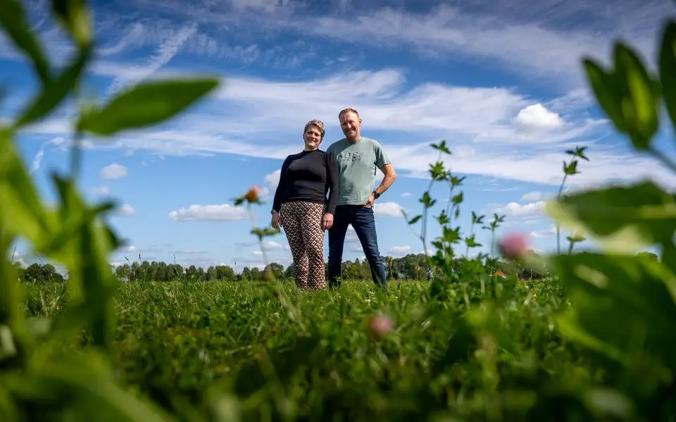 Bart en Geertje uit Terwispel zijn ze de eerste zeven-vinkjes-boeren van Friesland: ‘Der hawwe mominten west dat ik tocht: wy hâlde dermei op’