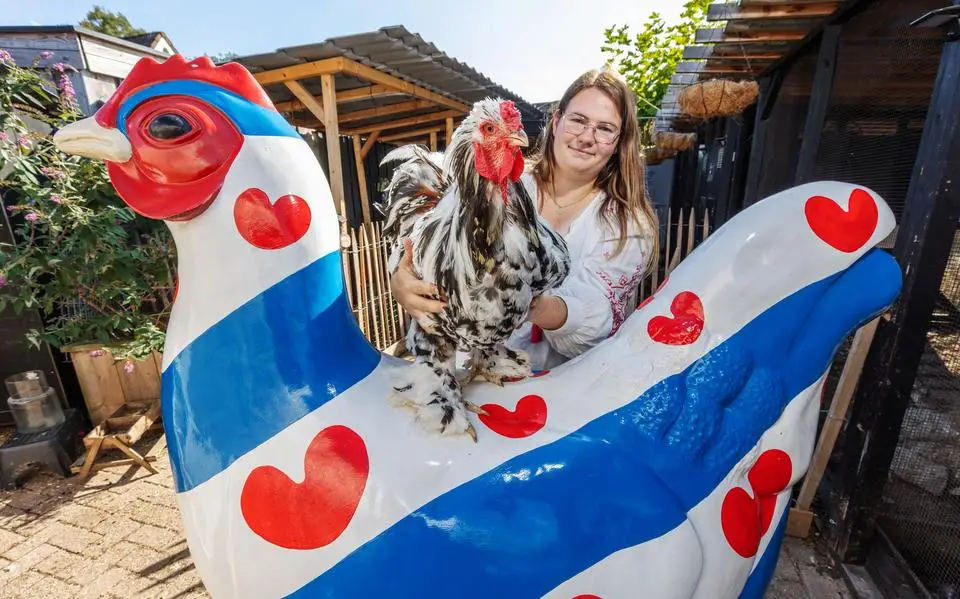 Rika (28) uit Tijnje wil haar bedrijf Hobby Kip Friesland uitbreiden, maar de buurt houdt dat tegen
