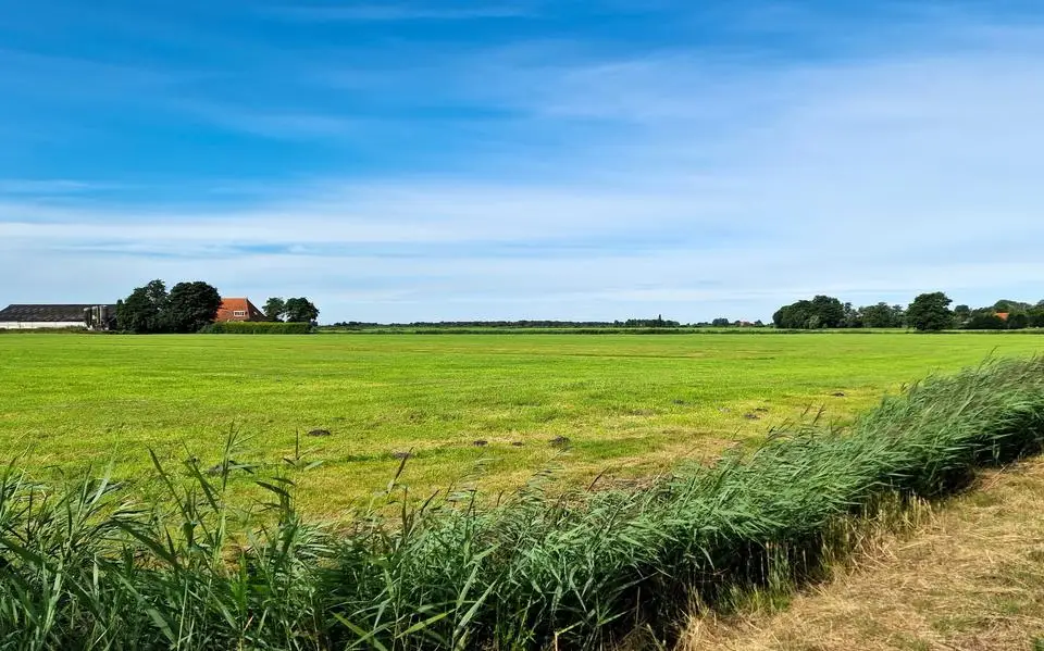 Kies voor mono-mestvergisters in plaats van zonneweides en windparken om het landschap intact te houden, zegt Klaas Martens | opinie