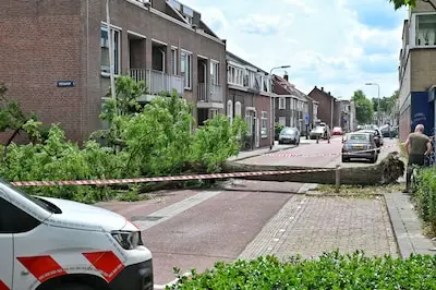 Fietser ontsnapte aan omvallende boom in Tilburg, terwijl boom gezond leek