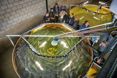 Van varkensstal naar zalmboerderij: kijkje in de keuken van project dat 1 miljoen euro subsidie kreeg