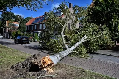 Bomen waaien om in Tilburg: auto en motor raken beschadigd