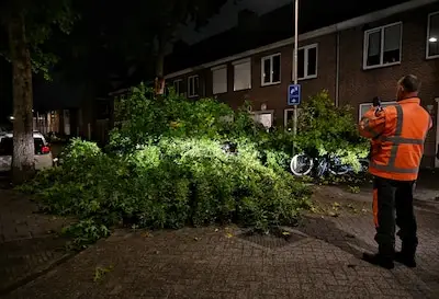 Tak van boom breekt af en valt dwars door dak van auto in Tilburg