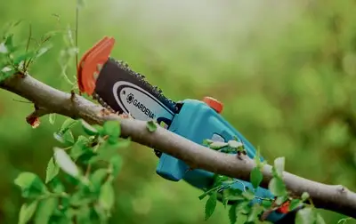 IVN natuurwerkgroep Waalre begint nieuw seizoen