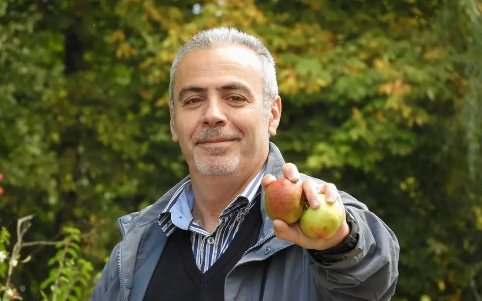 Mohamed (53) uit Grou snapt het niet: ‘Waarom laten mensen appels van openbare bomen op de grond wegrotten?’