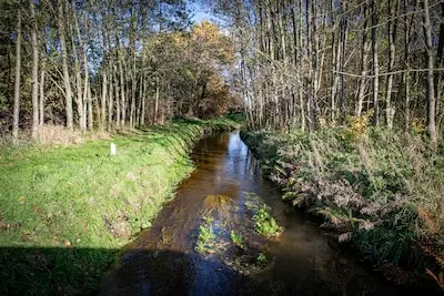 Werkzaamheden bij Korstbroeken in beekdal van Kleine Beerze