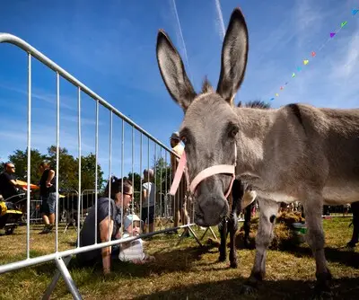 Vele generaties op feestelijke Ezeltjesdag op het Eeneind