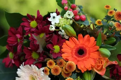 Nieuw seizoen bloemschikcursus in Helmond