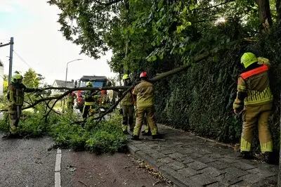 Bomen waaien om in Tilburg en Oisterwijk: auto en motor raken beschadigd
