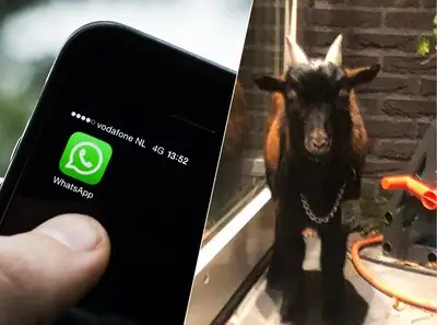 Ping! Onze buurtapps ratelen maar door: ‘Kan Jeanet terug in de app? Ik had net popcorn gehaald’
