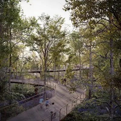 Wandelen en fietsen tussen de boomtoppen, plan voor spraakmakend pad op De Wielewaal